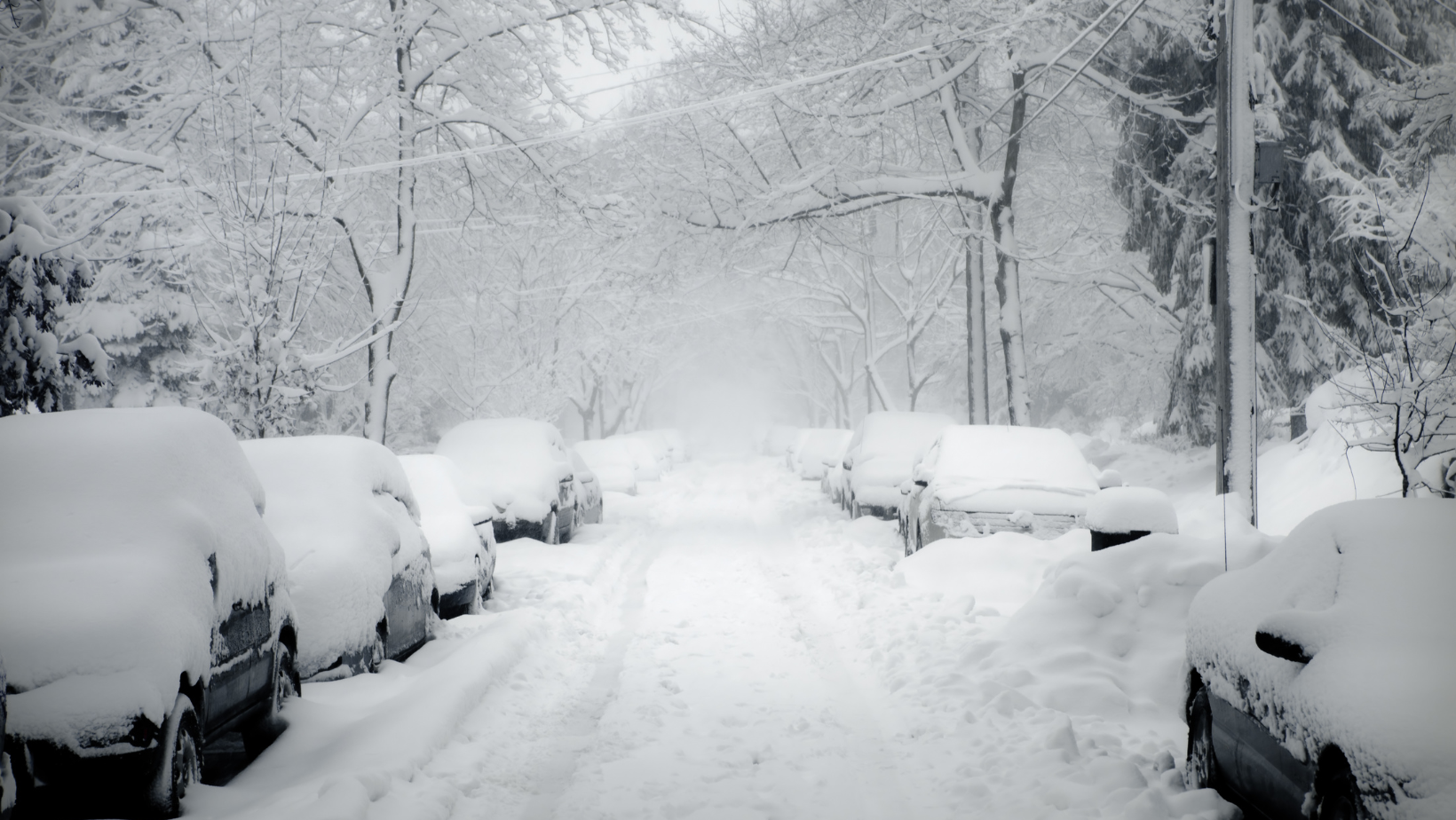 Zdjęcie Zima zaatakuje na koniec roku? Śnieżyca uderzy w Sylwestra! #1