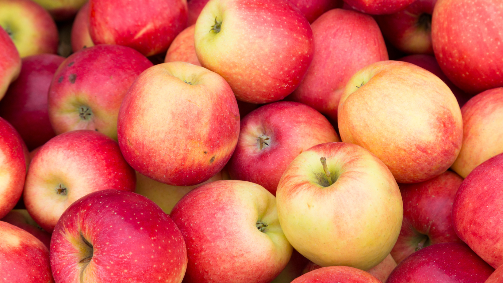 Zdjęcie Przebadali jabłka z Biedronki i Lidla. Szokująca prawda o tym co jemy! #1