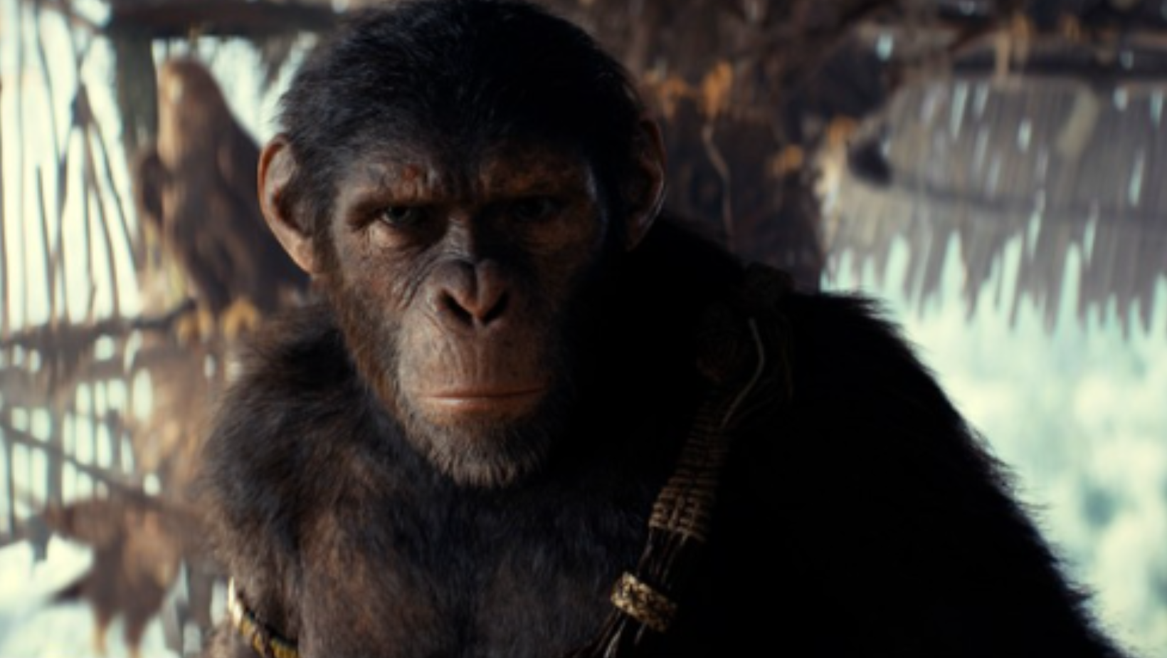 Zdjęcie Podobało ci się „Królestwo Planety Małp”? Oto podobne filmy! #1